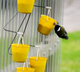 Ferris wheel bird feeder