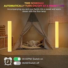 Load image into Gallery viewer, 2 Piece Corner Floor Lamps for Living Room
