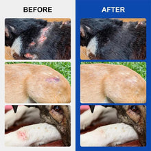 Load image into Gallery viewer, Quick Heal Wound Spray For Dogs
