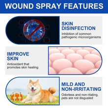 Load image into Gallery viewer, Quick Heal Wound Spray For Dogs
