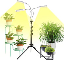Load image into Gallery viewer, Freestanding LED Triple Head Full Spectrum Indoor Plant Grow Lights
