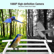 Load image into Gallery viewer, AI-Powered WIFI Smart Bird Feeder Camera
