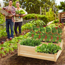 Load image into Gallery viewer, Raised Wooden Vegetable Herb Flower Garden Multi Planter Box
