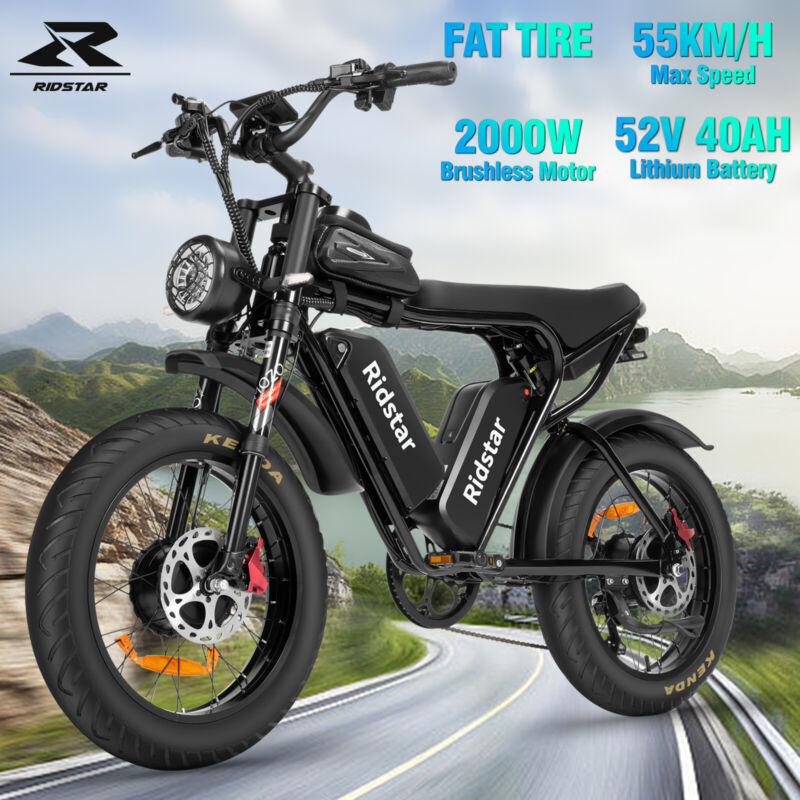 Electric Bike 1000W/2000W 13Ah/20Ah/40Ah 20'' Fat Tire Mountain E-bike